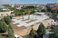 33 Bin Metrekare Alana Park