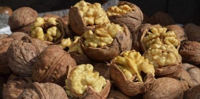 Adilcevaz 25. Ceviz Festivali Ve Kültür Etkinlikleri Düzenlenecek