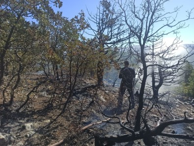 Adiyaman'daki Orman Yangini Tamamen Söndürüldü