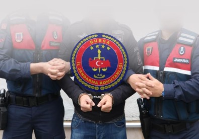 Bursa'da Dolandirici Operasyonu Açiklamasi 2 Gözalti