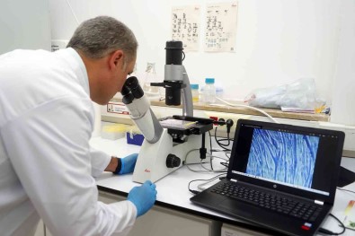 DMD Kas Hastalarini Umutlandiran Arastirma Açiklamasi Alinacak Kan Numunesiyle Tedavi Yöntemi Belirlenecek