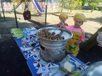 Miniklerden Kestane Ve Misir Tanitimi