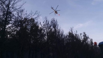 Tekirdağ'da çıkan orman yangını söndürüldü