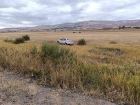 Sivas'ta Yoldan Çikan Otomobil Tarlaya Girdi Açiklamasi 3 Yarali