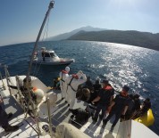 Aydin'da 53 Düzensiz Göçmen Kurtarildi