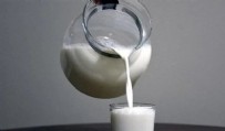 Çiğ süt fiyatı belli oldu! Bakan Kirişçi: Hayırlı olsun...