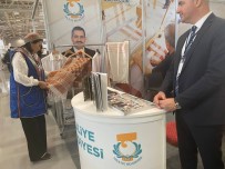 Culha Istanbul'da Tanitildi