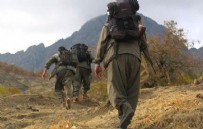 Terör örgütü PKK'da çözülme sürüyor: 3 PKK'lı terörist teslim oldu