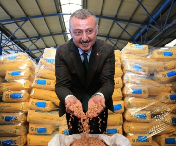 Tohum Destegine 4 Bin 400 Çiftçi Basvurdu