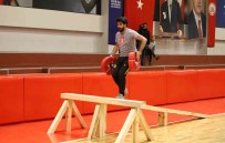 Alev Savasçisi Olmak Için Ter Döktüler