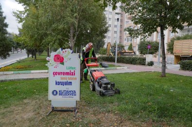 Çim Biçme Çalismalari Devam Ediyor