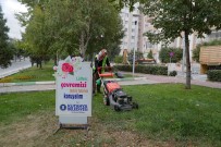 Çim Biçme Çalismalari Devam Ediyor
