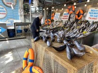 Denizlerde En Çok Omega 3'Ün Bulundugu Palamutta Bolluk