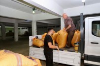 FISKOBIRLIK Fiyat Farkiyla Findik Alimlarini Sürdürüyor