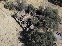 58 Yil Sonra Düzenlenen Alem Dagi Etkinligine 4 Bin Kisi Katildi