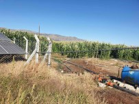 Hibe Desteginden Yaralanan Yatirimcilarin Denetimi Sürüyor