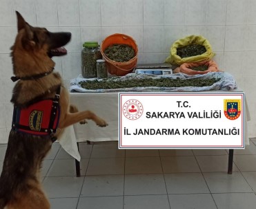 Jandarmadan Iki Ilçede Uyusturucu Operasyonu Açiklamasi 4 Gözalti