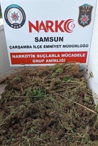 Samsun'da 9 Kilo 975 Gram Esrar Ele Geçirildi Açiklamasi 8 Gözalti