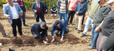 Yok Olma Tehlikesiyle Karsi Karsiya Olan Sütçüler Kekigi Kültüre Alindi