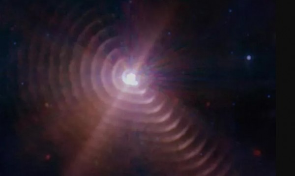 Herkes 'uzaylı' sanmıştı... Ne olduğu resmen açıklandı!