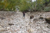 Antalya'da Üzümdere Irmagi Kurudu, Yavru Alabaliklar Telef Oldu