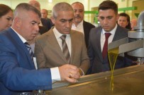 Aliaga, Sanayinin Yaninda Tarimda Da Ülke Ekonomisine Katki Sagliyor