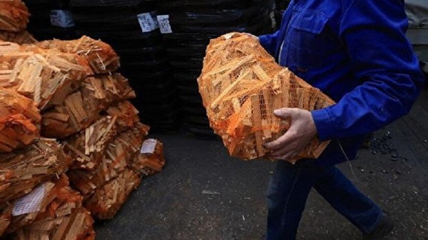 Avrupa'da enerji krizi: Odun çalıyorlar