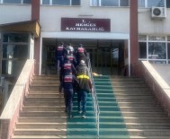 Bolu'da Kaçak Agaç Kesimi Yapan 5 Kisi Yakalandi