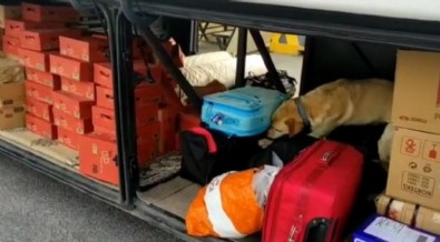 Kayseri'de 5 zehir taciri gözaltına alındı