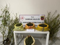 Samsun'da 25 Kilo 750 Gram Kubar Esrar Ele Geçirildi