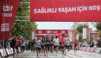 9. Eker I Run Sona Erdi