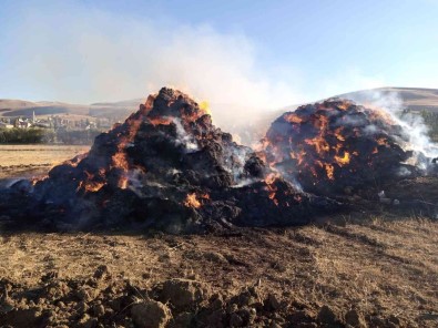Çocuklarin Yaktigi Ates 650 Balyayi Ve Çadiri Kül Etti