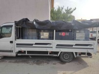 Kargo Kutusundan Kaçak Nargile Tütünü, Plastik Varillerden Kaçak Akaryakit Çikti