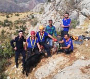 Uçurumda 3 Gün Mahsur Keçileri AFAD Kurtardi
