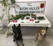 Yakalama Karari Olan Süpheli Yenipazar'da Yakalandi