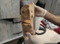 Izmir'de Bin 85 Adet Tarihi Eser Ele Geçirildi