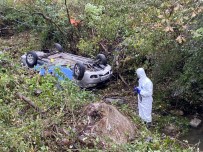 Kazada Hayatini Kaybeden Üniversite Ögrencisini, Kestane Toplamaya Gidenler Buldu