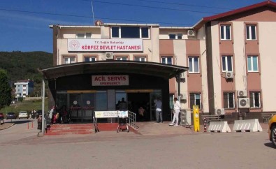 Dagdan Toplanan Mantarlar Bir Aileyi Hastanelik Etti