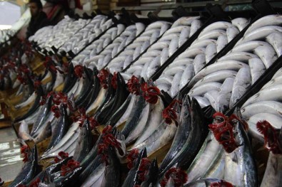 Palamut Fiyatlari Dibe Vurdu Açiklamasi 700 Gram Palamut 25 TL