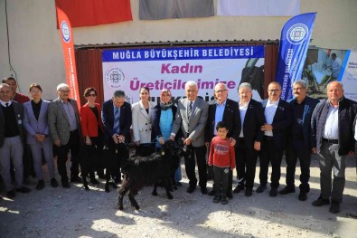 Mugla Büyüksehir Belediyesi'nden Yatagan'a Kil Keçisi Destegi