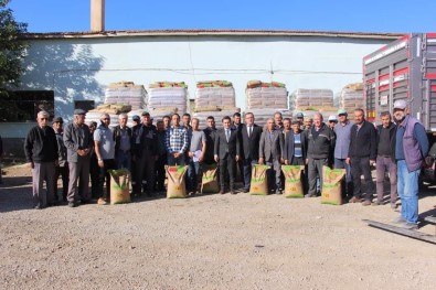 Basmakçi'da Çiftçilere Yüzde 50 Hibe Destekli Bugday Tohumu Dagitildi