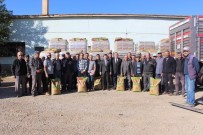 Basmakçi'da Çiftçilere Yüzde 50 Hibe Destekli Bugday Tohumu Dagitildi