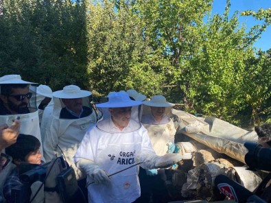 Milletvekili Arvas Karakovan Bal Hasadi Yapti