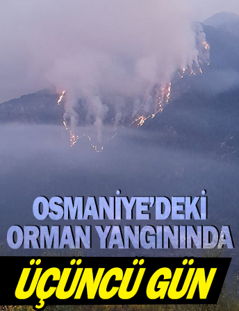 Osmaniye'de sarp arazideki yangında yangında 3'üncü gün