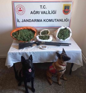 Agri'da 15 Kilo Esrar Ele Geçirildi