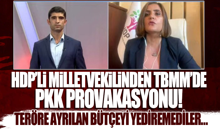 HDP'li Dilan Dirayet Taşdemir'den TBMM'deki odasında PKK provokasyonu! Terörle mücadele bütçesini yediremediler .