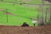 Ordu'da 18 Bin Dönüm Atil Arazi Üretime Kazandirildi