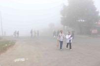 Sakarya'da Sis Etkili Oluyor