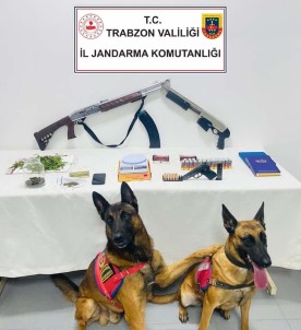 Süper Ikili Is Basinda