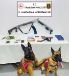 Süper Ikili Is Basinda